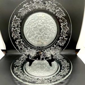 2 Princess House Fantasia 10inch Dinner Plates